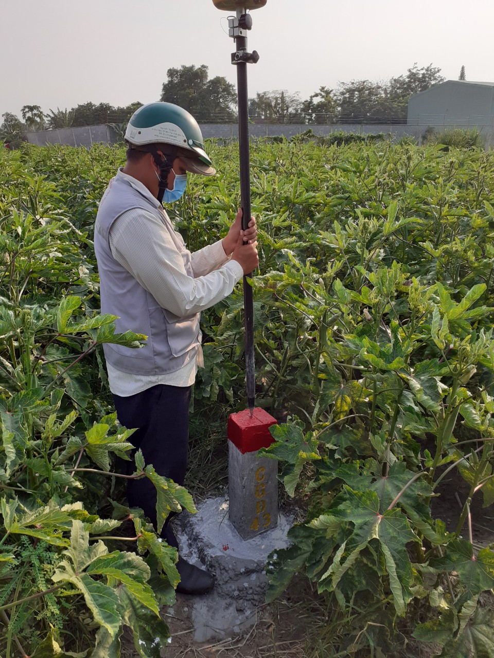 CẮM MỐC QUY HOẠCH XÂY DỰNG
